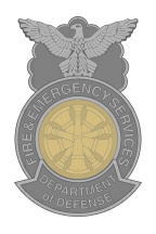 7 - DD FES Fire Chief.jpg